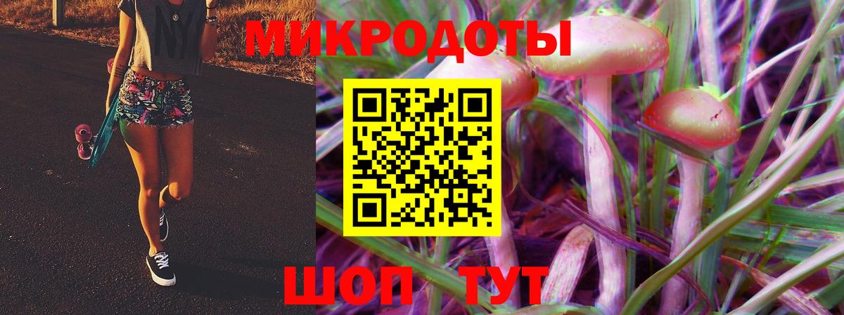 Псилоцибиновые грибы Psilocybine cubensis Чистополь